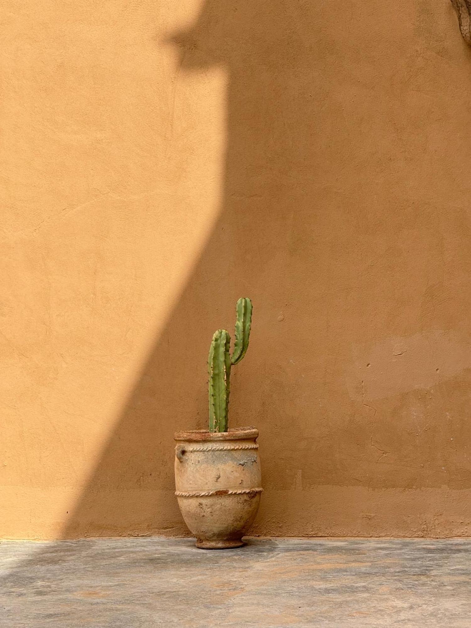 Hotel Kasbah Aitisfoul Tagounite Exteriér fotografie