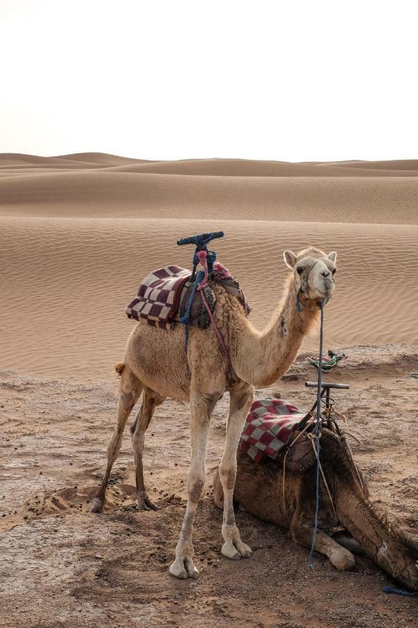 Hotel Kasbah Aitisfoul Tagounite Exteriér fotografie